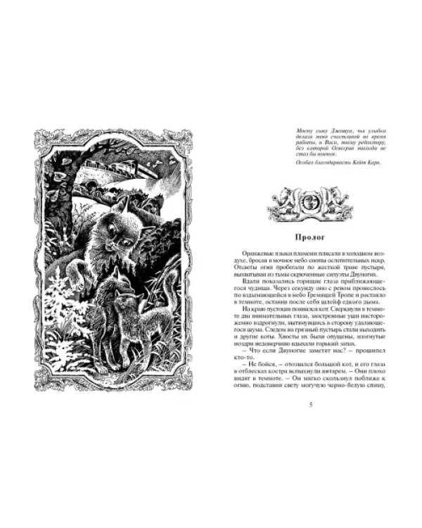 Огонь и лед