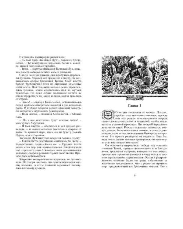 Огонь и лед