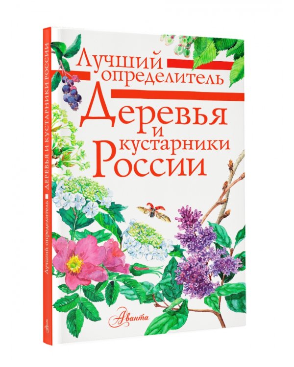 Деревья и кустарники России. Определитель