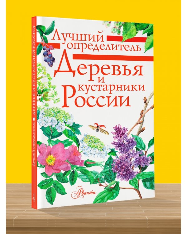 Деревья и кустарники России. Определитель