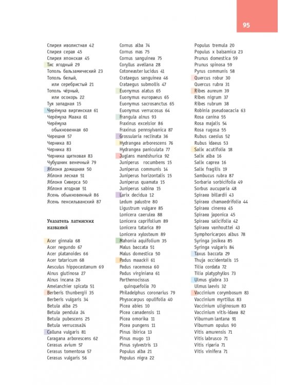 Деревья и кустарники России. Определитель