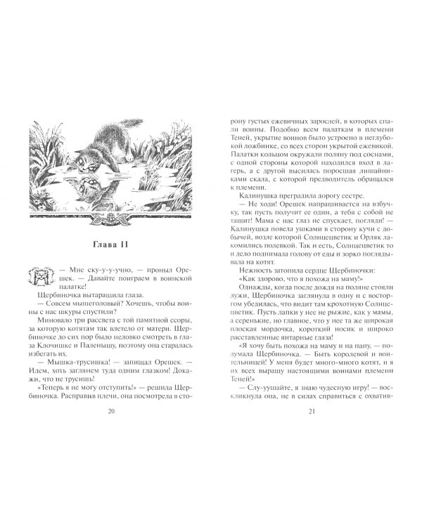 Тайна Щербатой. Книга 1. Предназначение