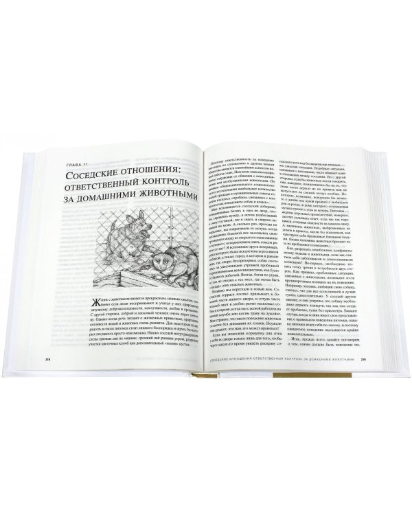 Как поддерживать здоровье собак и кошек без лекарств