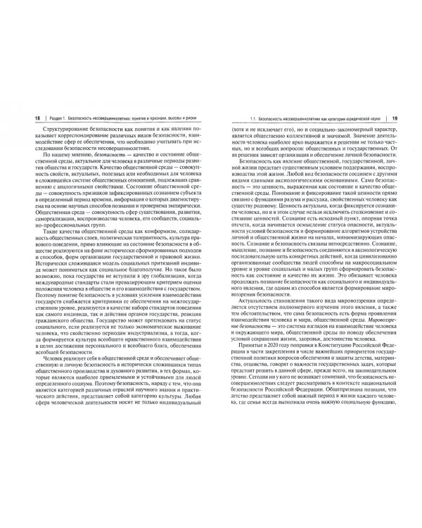 Безопасность детства. Социальные проблемы и правовые способы их решения. Монография