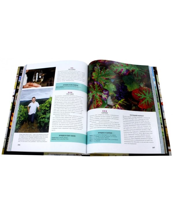 Вина Франции