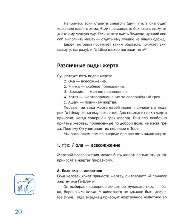 Мидраш рассказывает детям. Книга Ваикра