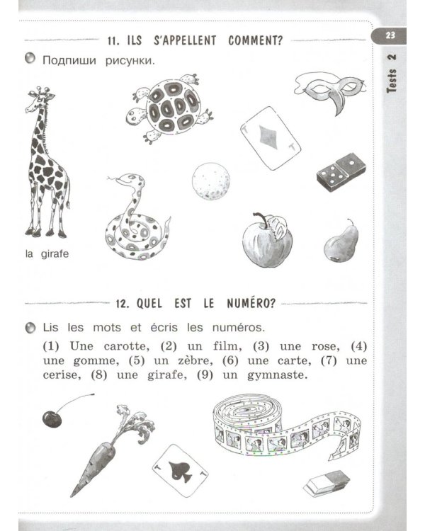 Французский язык. Твой друг французский язык. 2-4 классы. Тестовые и контрольные задания