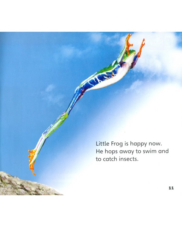 Our World 2: Big Rdr -A Big Lesson for Little Frog