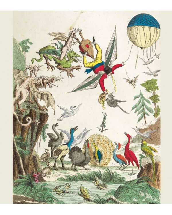 Подняться в небо. История полетов. От воздушных шаров до сверхзвуковых самолетов