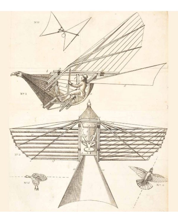 Подняться в небо. История полетов. От воздушных шаров до сверхзвуковых самолетов