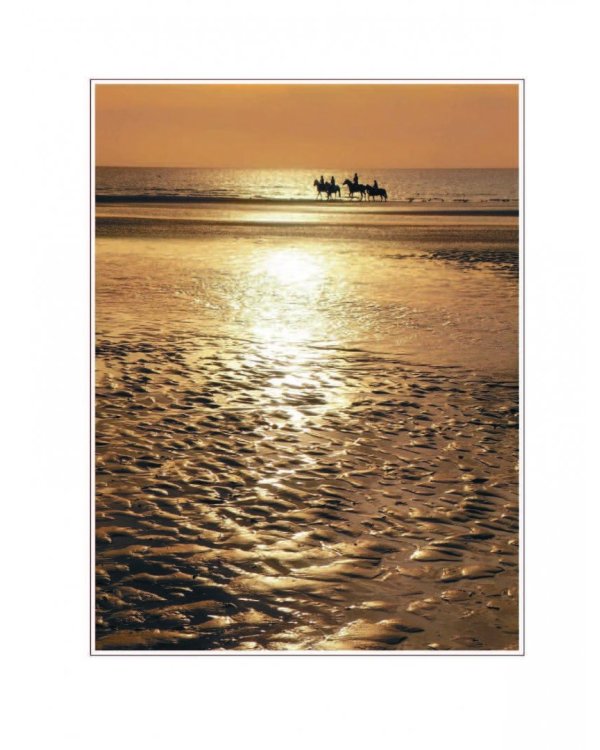 Фотография. От простого к сложному