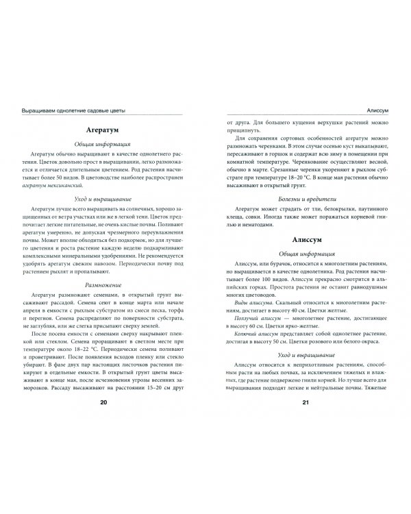 Выращиваем однолетние садовые цветы