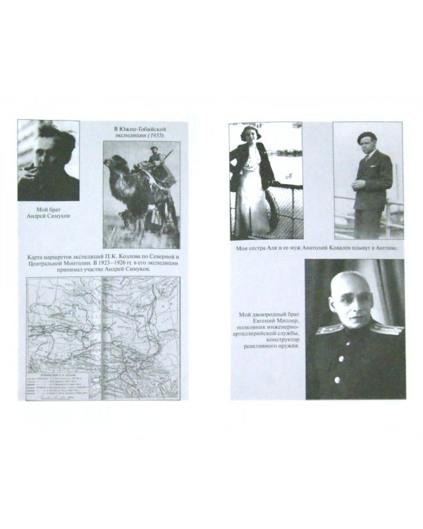 Чертов мост, или Моя жизнь как пылинка Истории