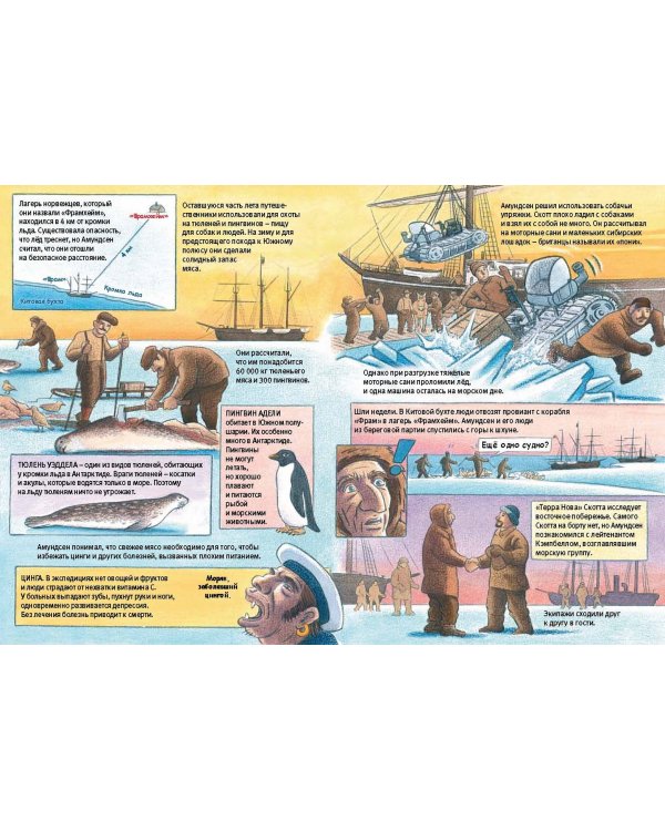 Южный полюс. Амундсен против Скотта