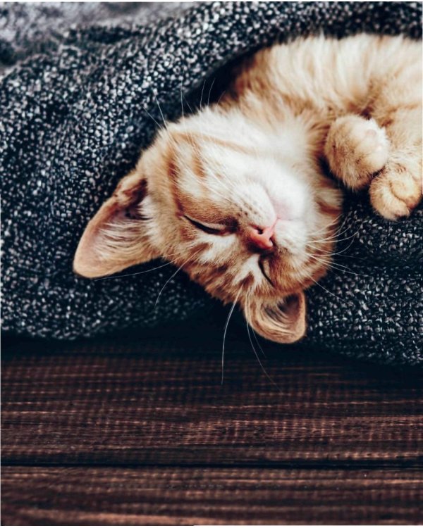 Хюгге. Датское искусство счастья