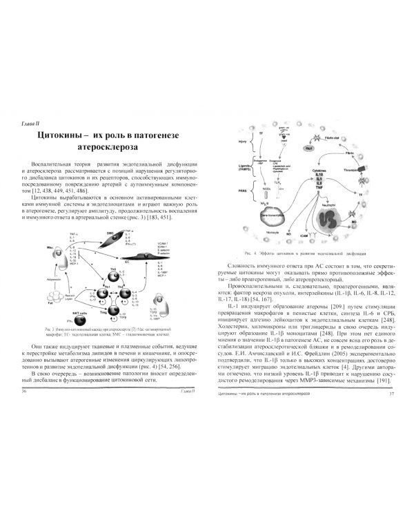 Атеросклероз. Иммуногенетические и метаболические аспекты патогенеза