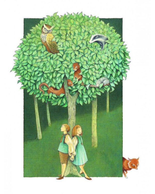 Самые красивые сказки со всего света