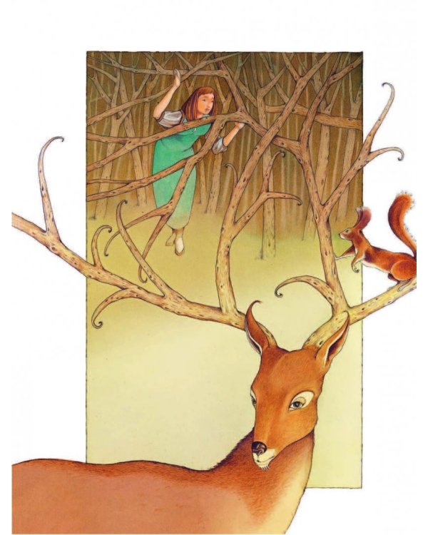 Самые красивые сказки со всего света