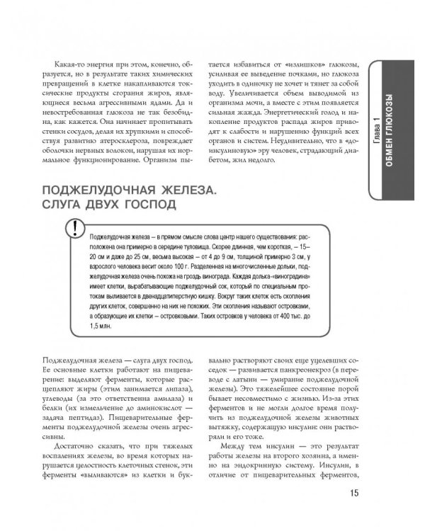 Диабет. Современная энциклопедия с новейшими рекомендациями