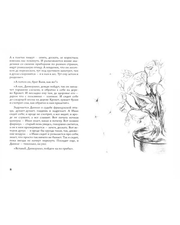 Иван и Данило