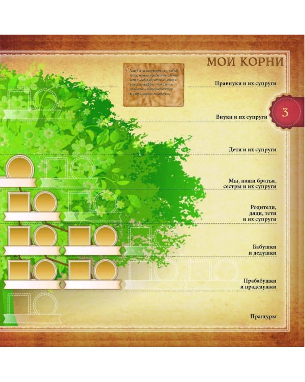 Моя родовая книга