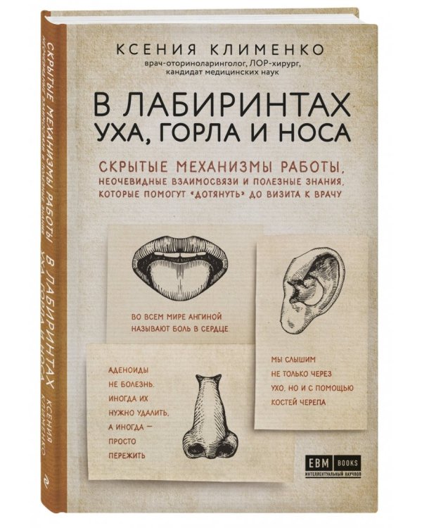 В лабиринтах уха, горла и носа. Скрытые механизмы работы, неочевидные взаимосвязи и полезные знания,