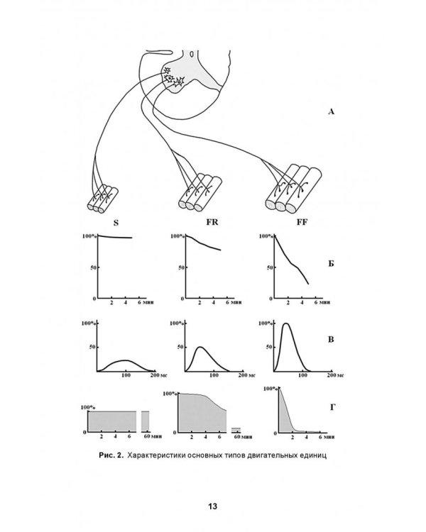 Развитие силы у спортсменов