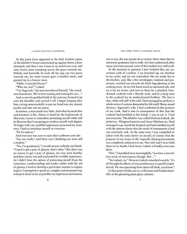 A Young Doctor's Notebook