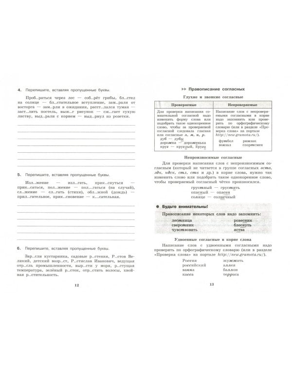 Всероссийская проверочная работа. Русский. Контрольное списывание. Орфография. Пунктуация. 5 класс