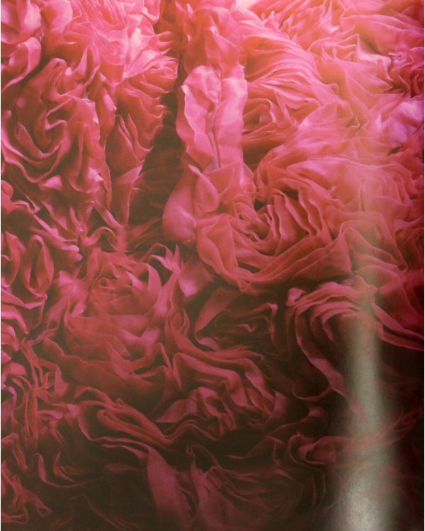 Christian Siriano. Dresses to Dream About