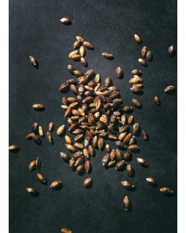 Bread Book. A Cookbook. Ideas and Innovations from the Future of Grain, Flour, and Fermentation