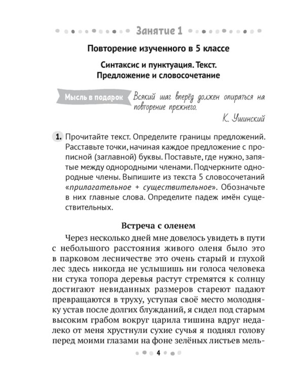 Русский язык. 6 класс. Тренажёр