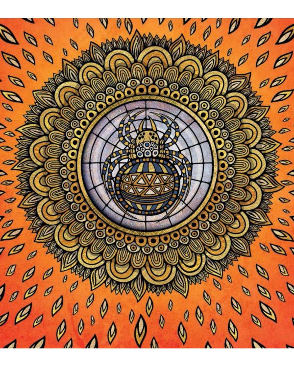 Легенды ночного неба. Истории народов мира о созвездиях