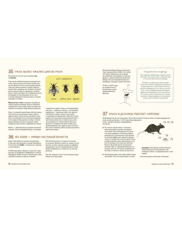 Может ли жираф облизать свои уши?