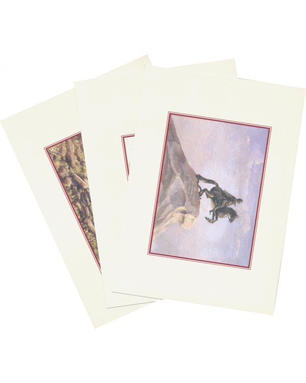 Набор открыток. Санкт-Петербург и его окрестности