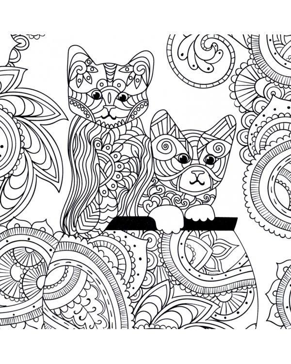 Раскраска-антистресс, альбом. Котонастроение