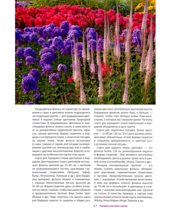 Современный ассортимент флокса метельчатого. Каталог. Выпуск 3