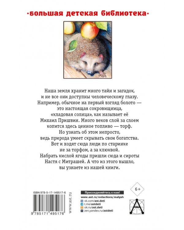 Кладовая солнца. Повесть и рассказы