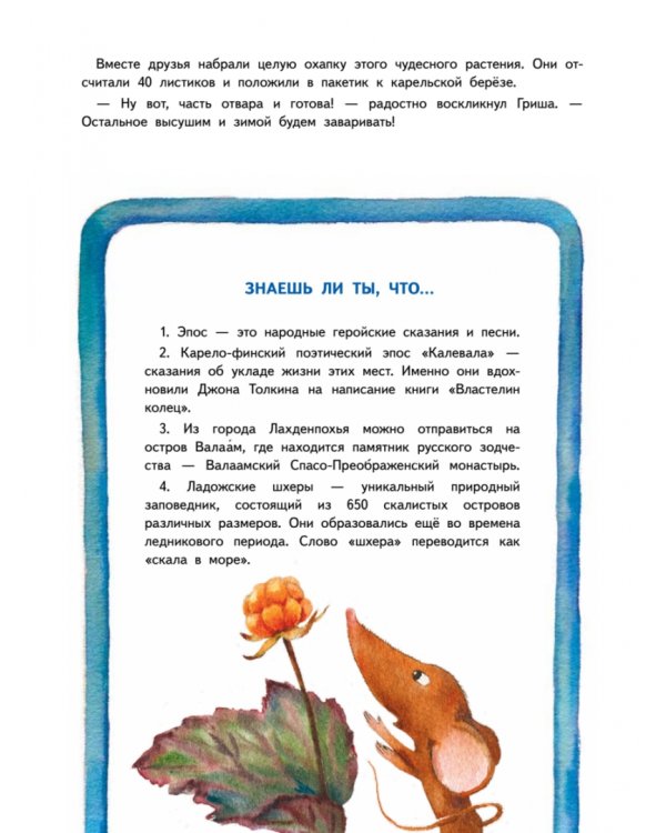 Приключения мышонка Недо на Ладоге. Географические сказки