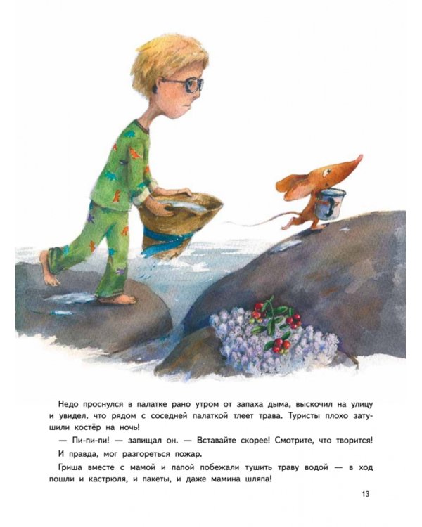 Приключения мышонка Недо на Ладоге. Географические сказки