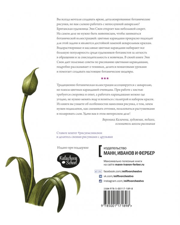 Ботаническая иллюстрация цветными карандашами. Пошаговое руководство