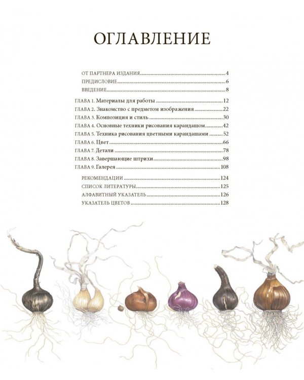 Ботаническая иллюстрация цветными карандашами. Пошаговое руководство