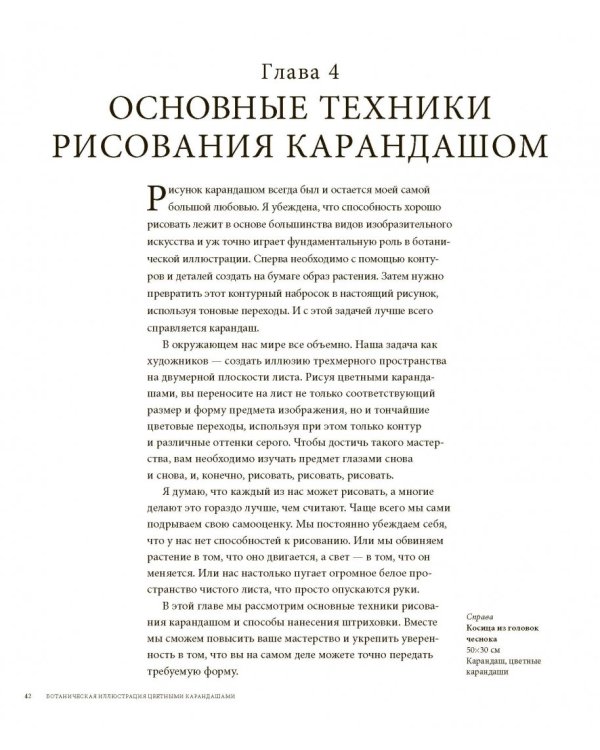 Ботаническая иллюстрация цветными карандашами. Пошаговое руководство