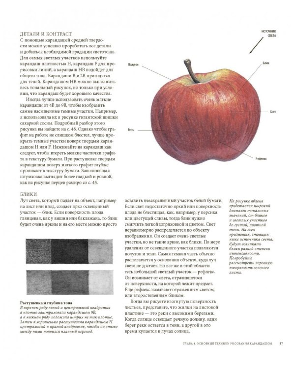 Ботаническая иллюстрация цветными карандашами. Пошаговое руководство
