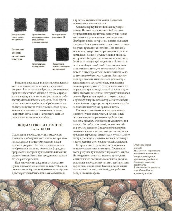 Ботаническая иллюстрация цветными карандашами. Пошаговое руководство