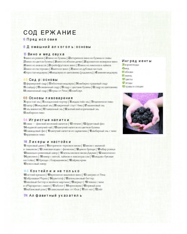 Домашний фирменный алкоголь. Вино, пиво, сидр, медовуха, ликеры и настойки своими руками