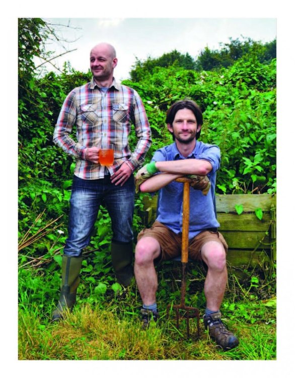 Домашний фирменный алкоголь. Вино, пиво, сидр, медовуха, ликеры и настойки своими руками