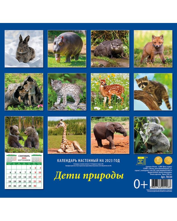 Календарь на 2023 год. Дети природы