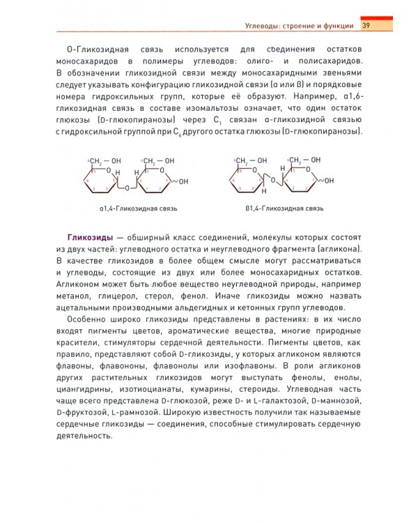 Биохимия человека. Обмен углеводов. Учебное пособие