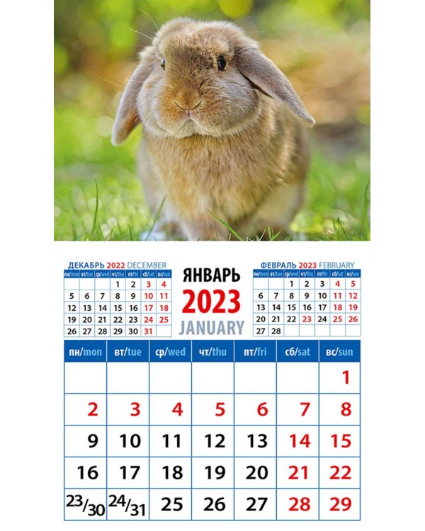 Календарь на 2023 год. Год кролика. Обаятельный и привлекательный